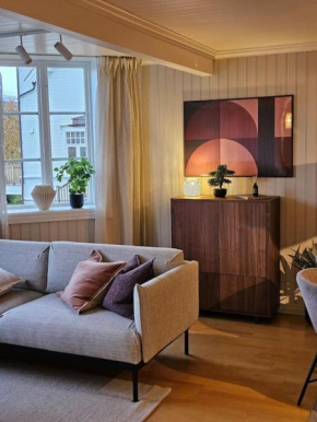 Stylish City Apartment With Mountain View